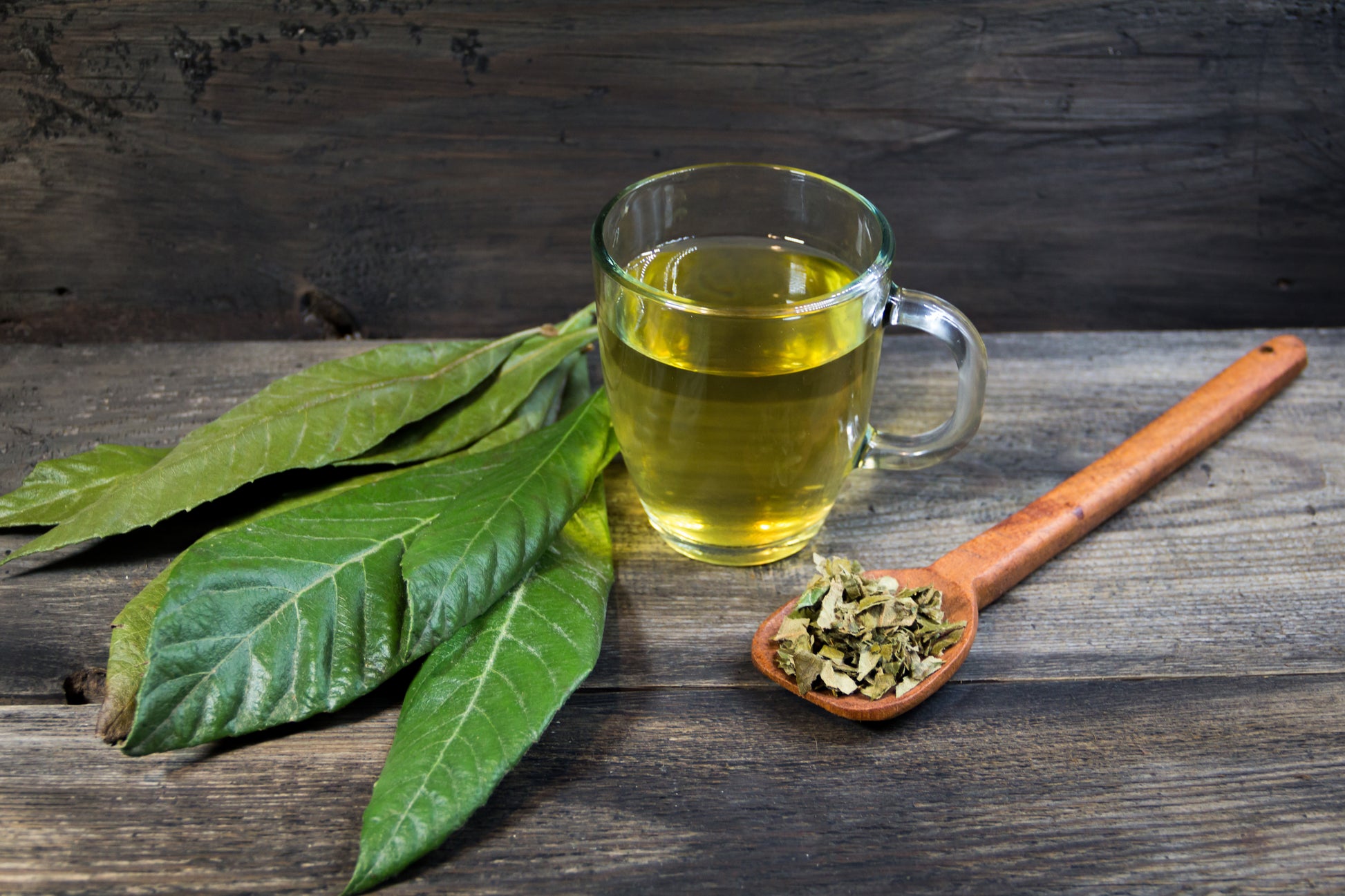 枇杷の葉茶　びわの葉茶
