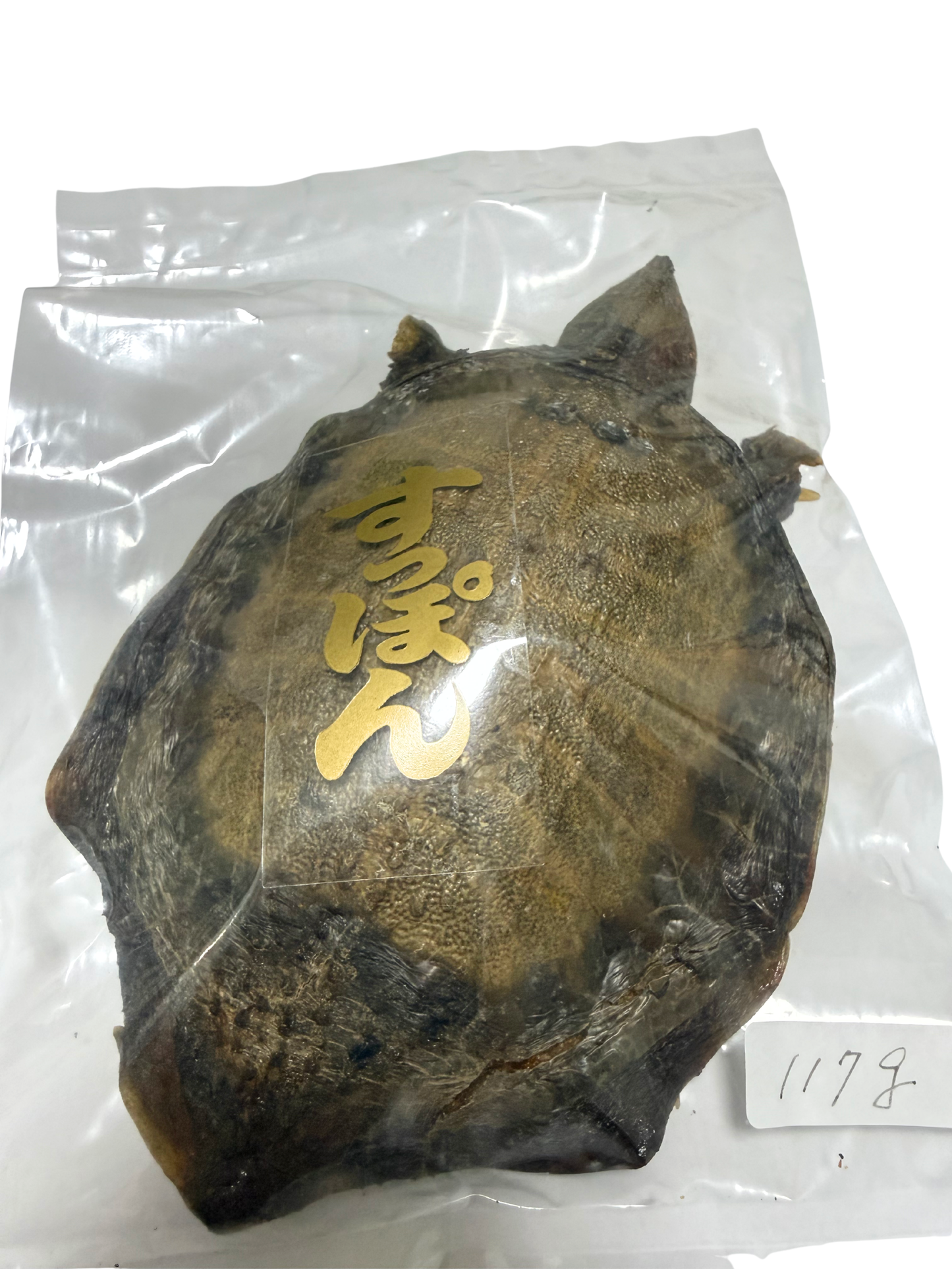 すっぽん原型